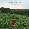 Luther Dickinson - Rock 'n Roll Blues CD