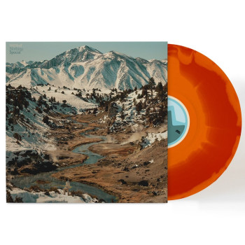 [PRE-ORDER] Nothing Special LP