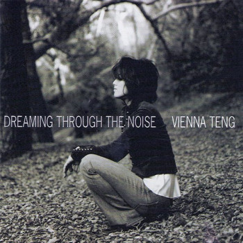 Dreaming Through The Noise CD