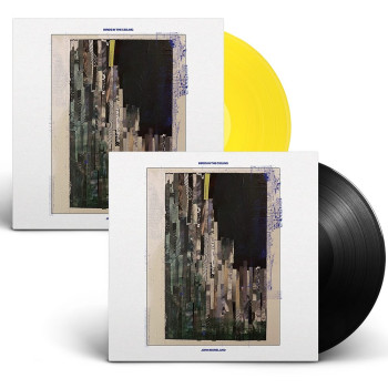 Birds In The Ceiling LP (Black or Yellow Vinyl)