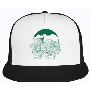 Waves Logo Hat
