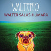 Walter Salas-Humara - Walterio LP