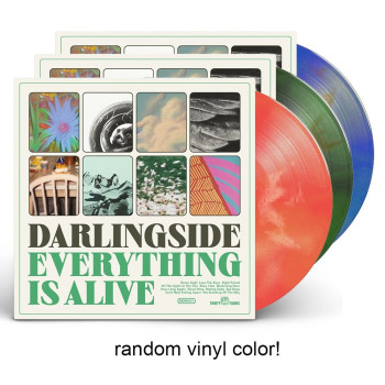[PRE-ORDER] Everything Is Alive Deluxe Random Colored LP