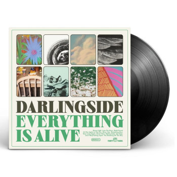 [PRE-ORDER] Everything Is Alive LP